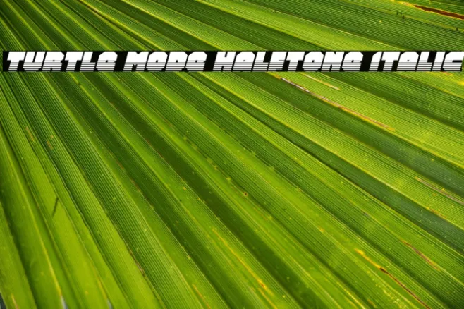 Turtle Mode Halftone Italic Example 3