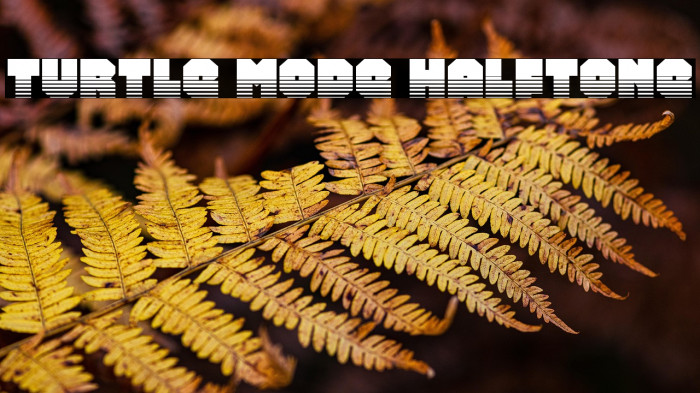 Turtle Mode Halftone Example 1