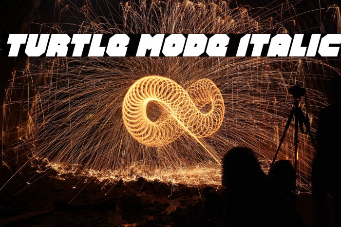 Turtle Mode Italic Example 1