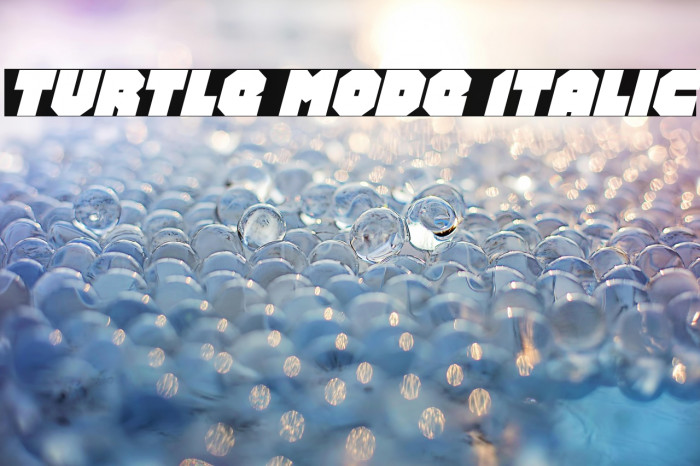 Turtle Mode Italic Example 2