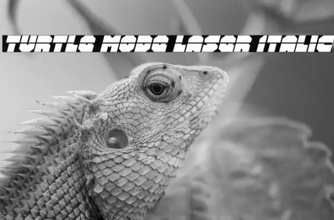 Turtle Mode Laser Italic Font examples