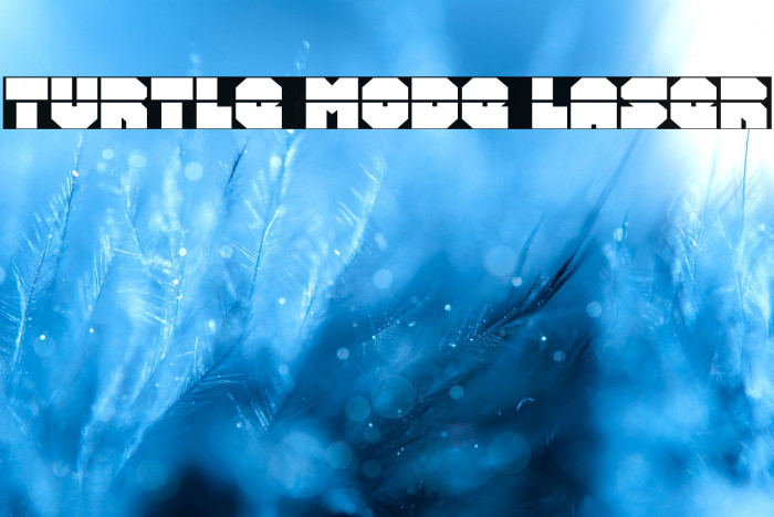 Turtle Mode Laser Example 2