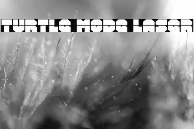 Turtle Mode Laser Font examples