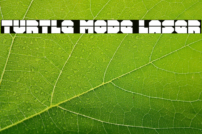 Turtle Mode Laser Example 3