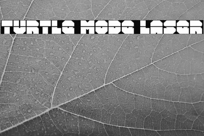 Turtle Mode Laser Font examples