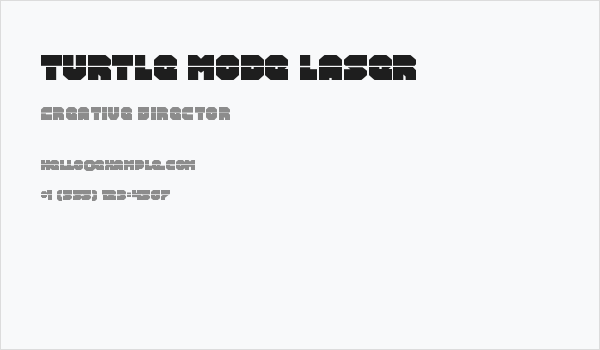 Turtle Mode Laser Business Card