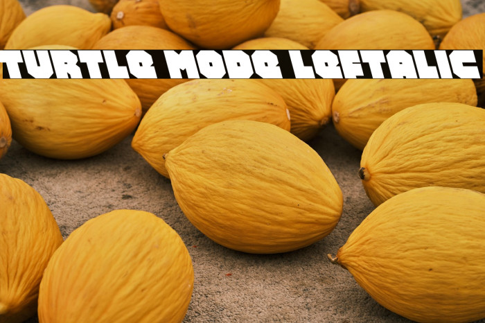 Turtle Mode Leftalic Example 1