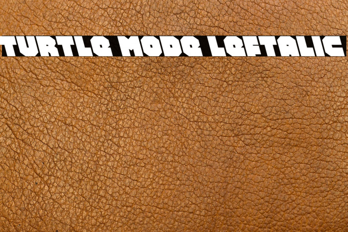 Turtle Mode Leftalic Example 2