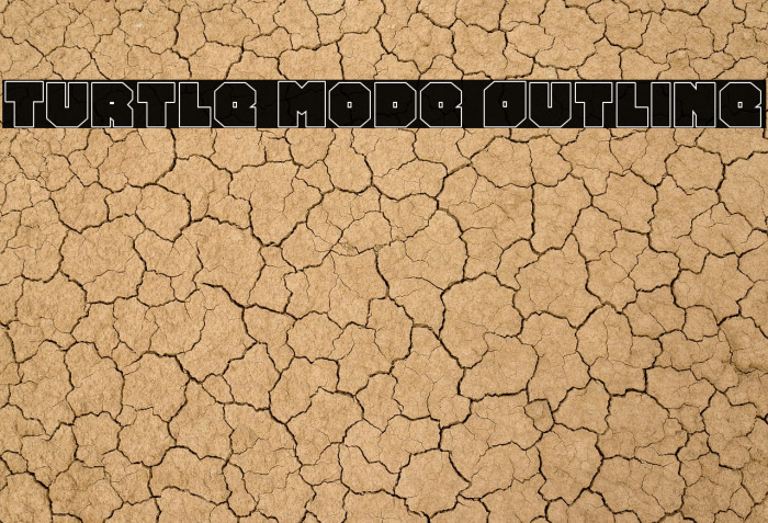 Turtle Mode Outline Example 3