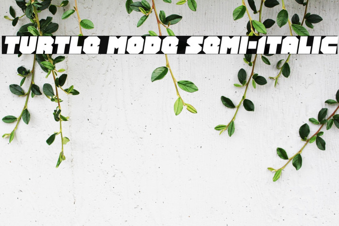 Turtle Mode Semi-Italic Example 1