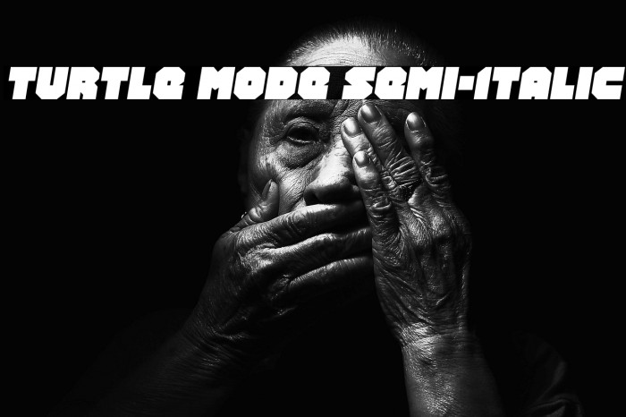 Turtle Mode Semi-Italic Example 2