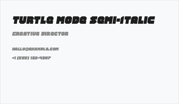 Turtle Mode Semi-Italic Business Card