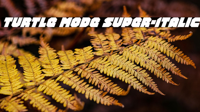 Turtle Mode Super-Italic Example 1