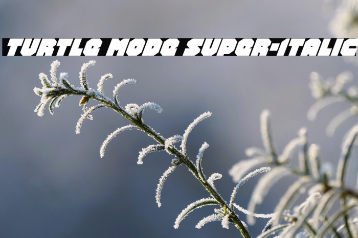 Turtle Mode Super-Italic Example 2