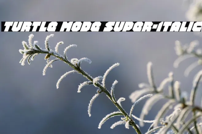 Turtle Mode Super-Italic Example 2