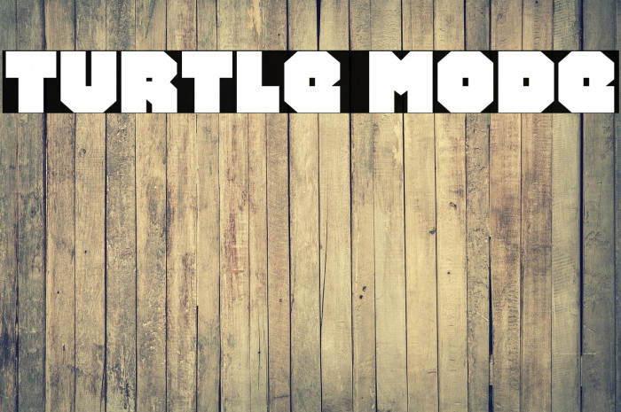 Turtle Mode Example 2