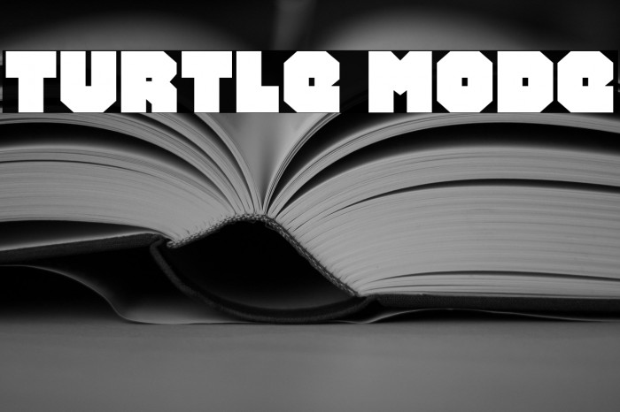 Turtle Mode Example 3