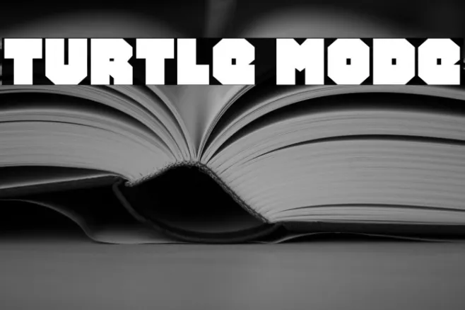 Turtle Mode Example 3