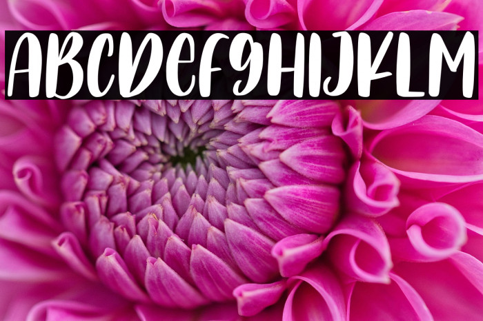 TurtleHero Example 1