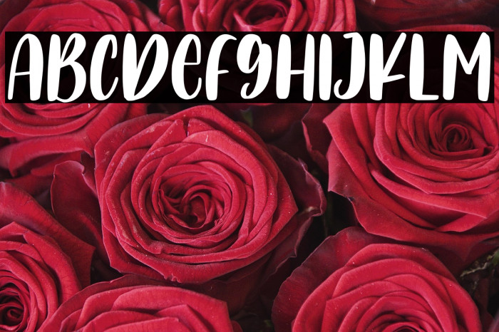 TurtleHero Example 3