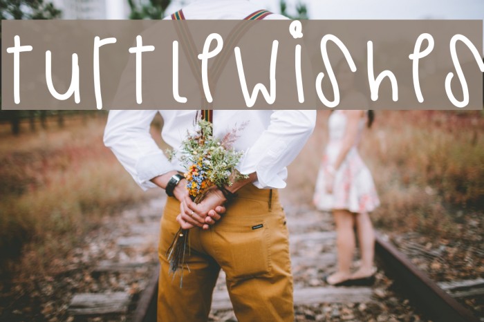 TurtleWishes Font examples