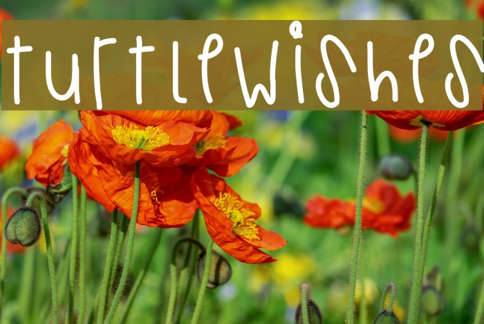 TurtleWishes Font examples