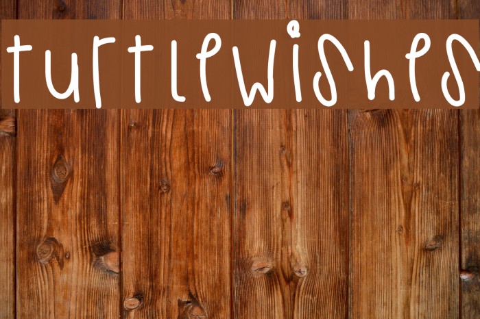TurtleWishes Font examples