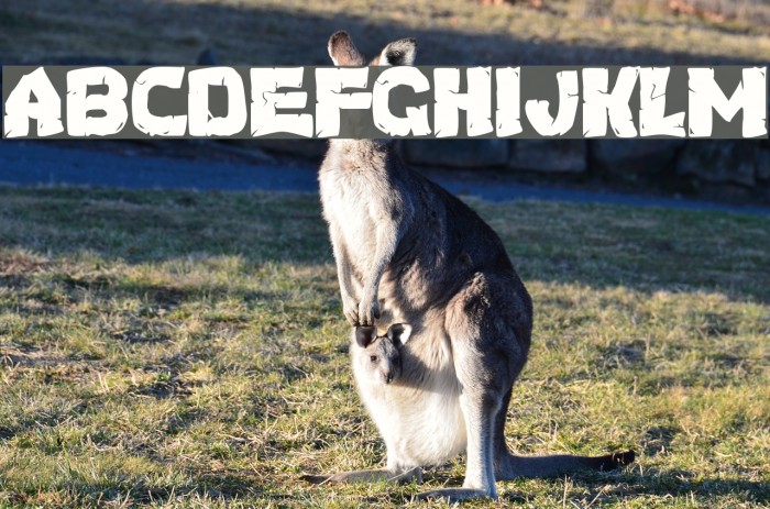 Turtles Normal Font examples
