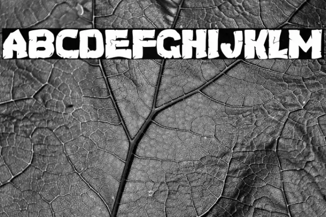 Turtles Font examples