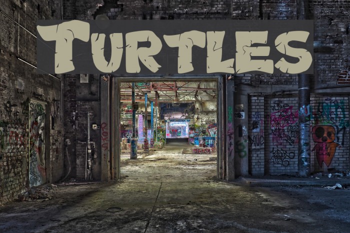 Turtles Font examples