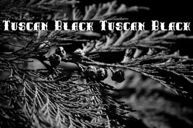 Tuscan Black Tuscan Black Font examples