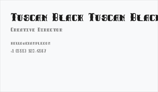 Tuscan Black Tuscan Black Business Card