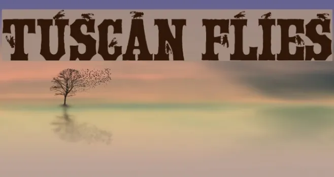 Tuscan Flies Example 1