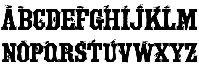 Tuscan Flies Font LOWERCASE