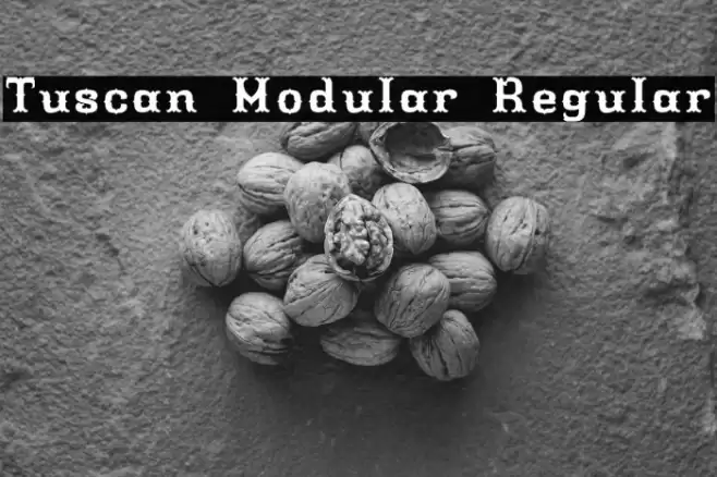 Tuscan Modular Regular Font examples