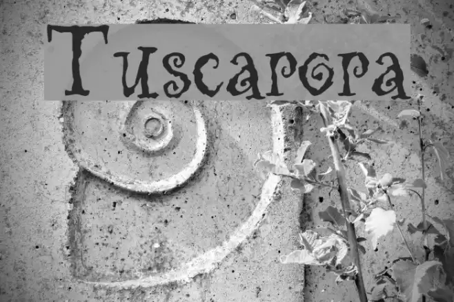 Tuscarora Font examples