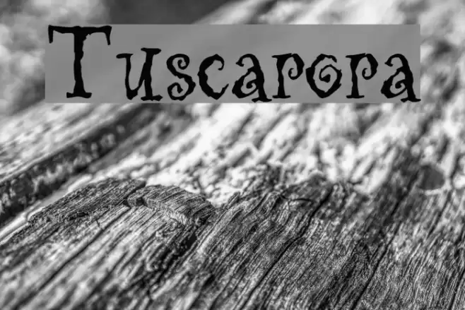 Tuscarora Font examples
