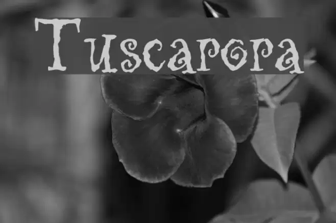 Tuscarora Font examples