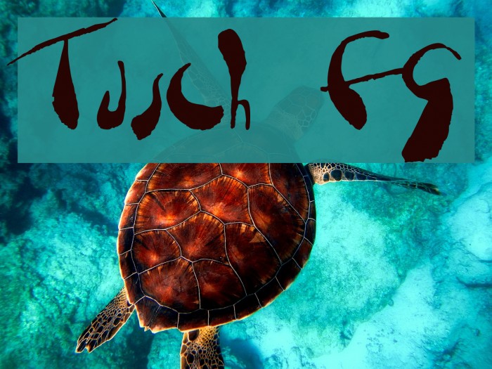 Tusch FG Font examples