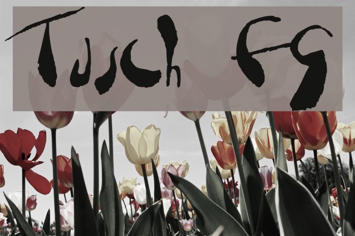 Tusch FG Font examples