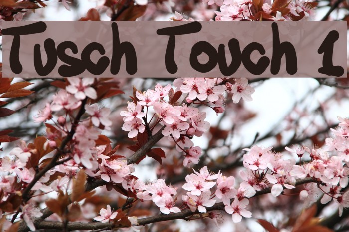 Tusch Touch 1 Font examples