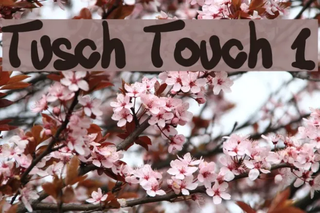 Tusch Touch 1 Example 3