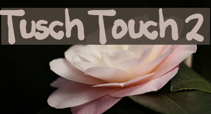 Tusch Touch 2 Font examples