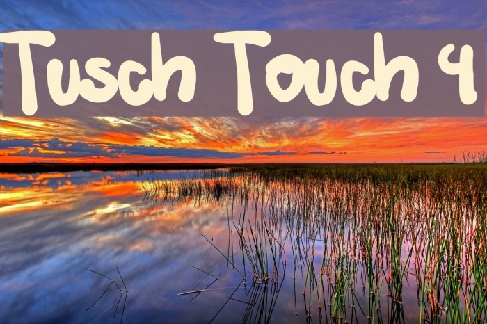 Tusch Touch 4 Example 3