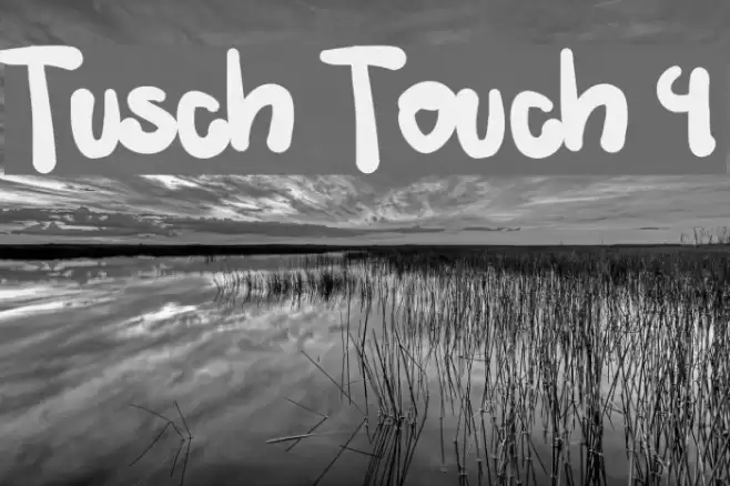 Tusch Touch 4 Font examples