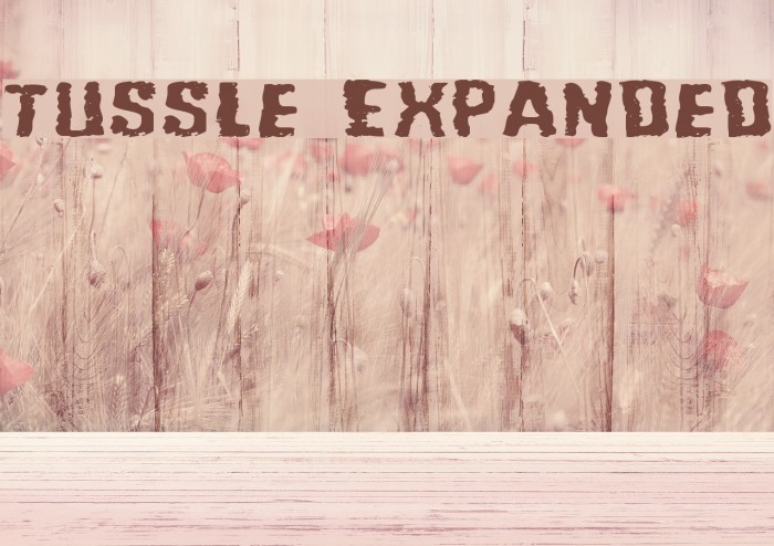 Tussle Expanded Font examples