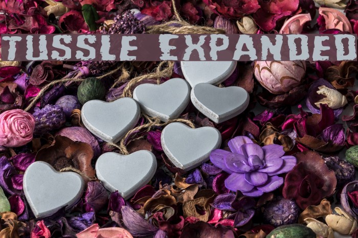 Tussle Expanded Font examples