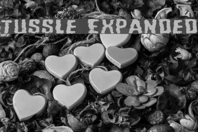 Tussle Expanded Fuentes examples