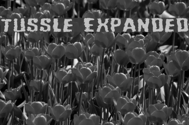 Tussle Expanded Fuentes examples