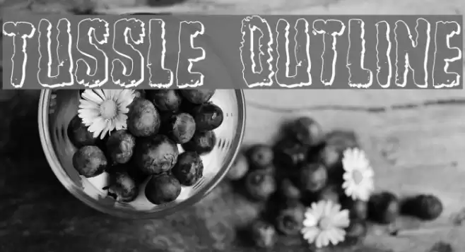 Tussle Outline Font examples